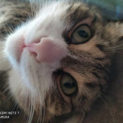 Аня Четверикова, 12.03.1989, Санкт-Петербург