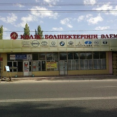 Ηикита Κопылов, Тараз