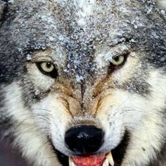 Иса Турдышов