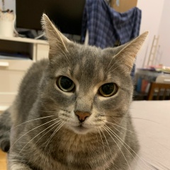 Иван Ситов, 04.08.1978, Владимир