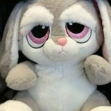 Михаил Сиротенко, 30.05