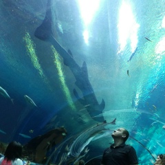 Владимир Немчук