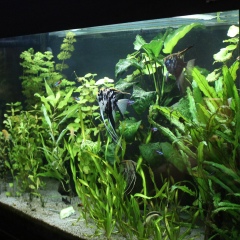 Александр Матвеев, 09.02, Монино