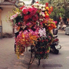 Kamila Kamila, 18.08.1993, Москва