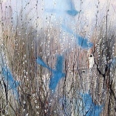 Ольга Ким, 16.03, Санкт-Петербург