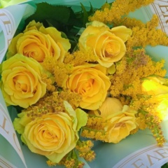 Елена Газиева