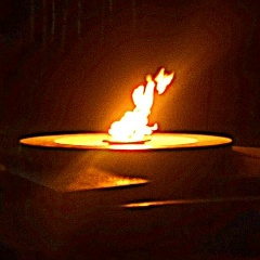 Алексей Шиганов, Санкт-Петербург