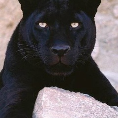 Юля Веревкина, 20.05.1982, Санкт-Петербург