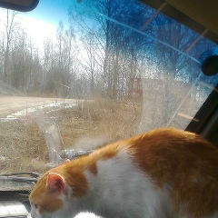 Юлия Веселова, Санкт-Петербург