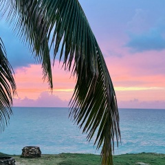 Натусик С, 24.02