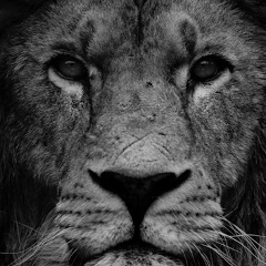 Резуан Атласкиров, 07.10, Нальчик