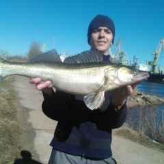 Romario Soldier, 08.04.1982, Санкт-Петербург