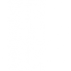 Александр Пугачев