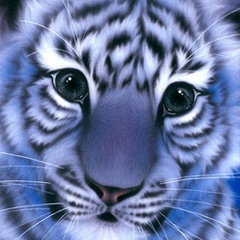 Жанна Курманбекова, 07.04, Москва