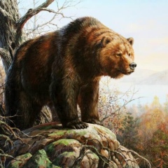 Михаил Агабабян, 09.09, Хабаровск