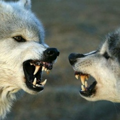 Мансур Демирханян