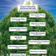 Мухаммед Торехан, 13.12.1990, Шымкент