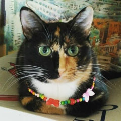 Ольга Донскова, 03.10, Ростов-на-Дону