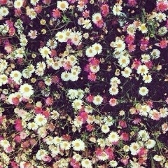 Гулшайыр Таева, 10.05.1928