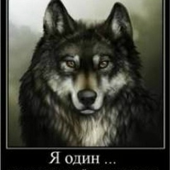 Ali Tokaev, 05.05.1994