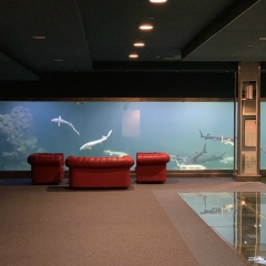 Дамир Рагимов, 19.07.1984, Актау