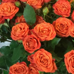 Лейсан Сабирова, 25.10.1983, Набережные Челны