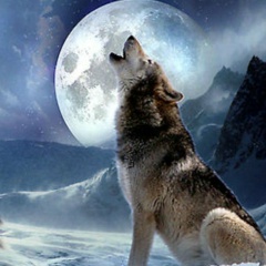 Зуличка ***********, 18.05, Москва