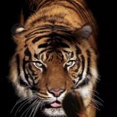 Вячеслав Еремеев, Москва