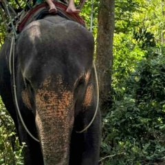 Рият Залилов, 16.07.1989, Тюмень