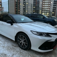 Рауф Хамдамов, 13.08, Новосибирск