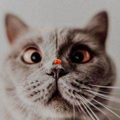 Анастасия Гришина, 27.05