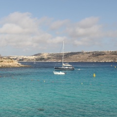 Mynames Domino, 25.12.1988