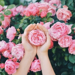 Наталия Мещенко, 26.12, Минск