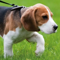 Валерия Сергеевна, 07.08.1975