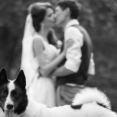 Анастасия Сайфутдинова, 28.06, Набережные Челны