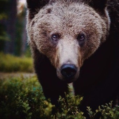 Матвей Шунин, 02.09.1985, Москва