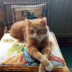 Светлана Степанова, 12.07.1950, Санкт-Петербург