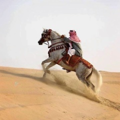 Радик Рамазанов, 28.04.1987, Сургут