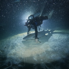 Ильюшка Ершов, 06.08, Санкт-Петербург