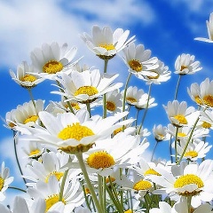 Маруся Маруся, 29.06.1988, Актау