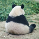 Александр Тявловский, 01.01.1992, Минск