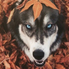 Андрей Боронин, 22.12, Москва