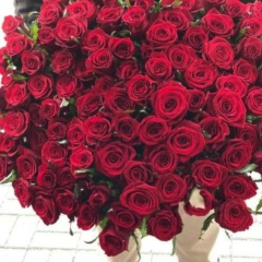 Наталья Николаева, 01.02, Полтава