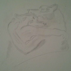 Патима Ахмедова, 02.01.1991, Махачкала