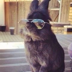 Arkalyk Erzhan, 21.01.1993, Караганда