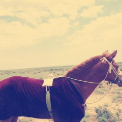 Мейрамбек Қибасов, 07.01.1992, Актау