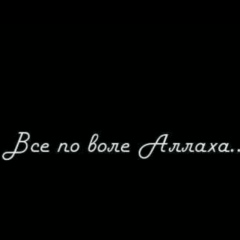 Ahmet Gorbakov, Магас