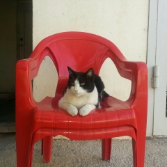 Qudaybergen Embergenov, 12.12.1985, Актау