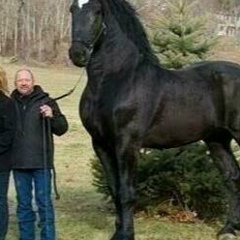 Ереке Айнабеков