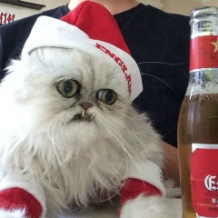 Динис Булатов, 15.02.2002, Стерлитамак